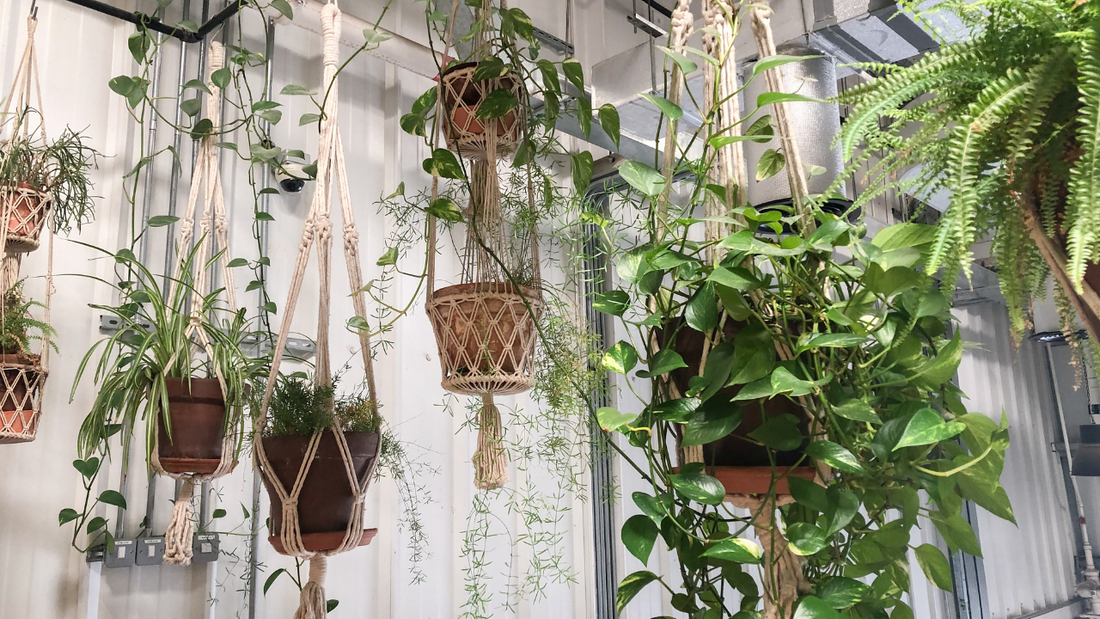 これは意外かも!?自律神経の整え方