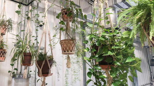 これは意外かも!?自律神経の整え方