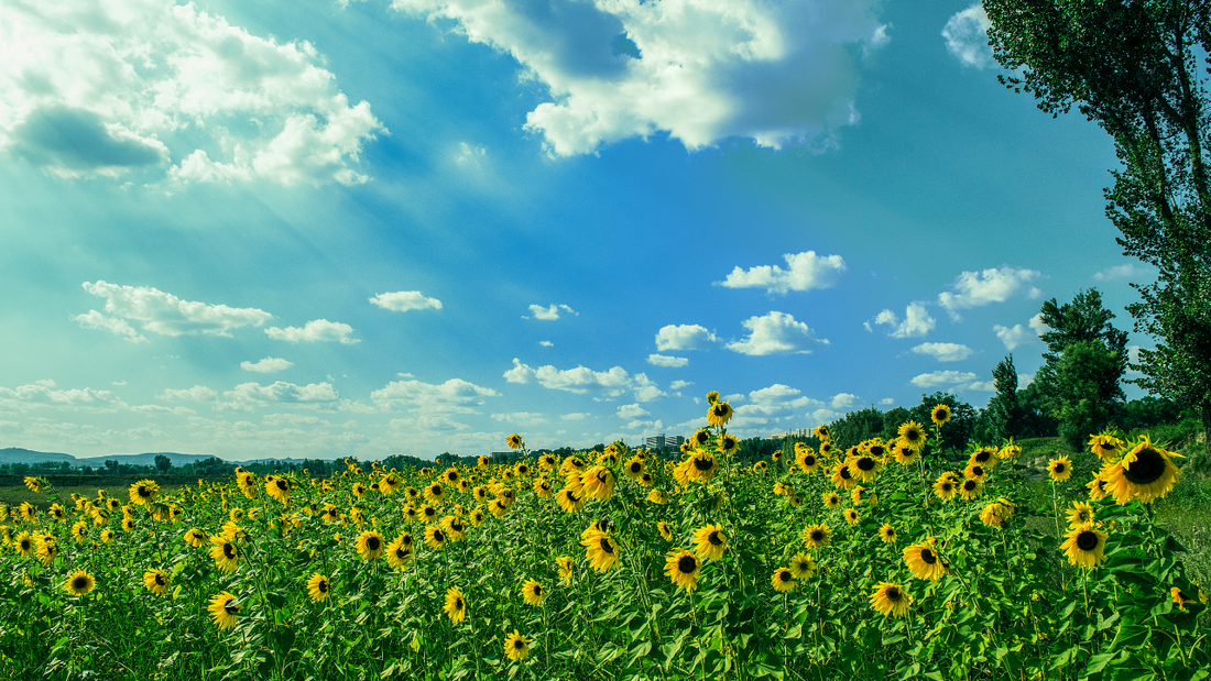 暑さに負けない心と体を作るポイント