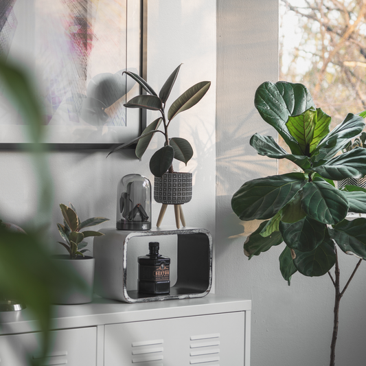 流行を追うのをやめたら、自分らしさが見えてきた。