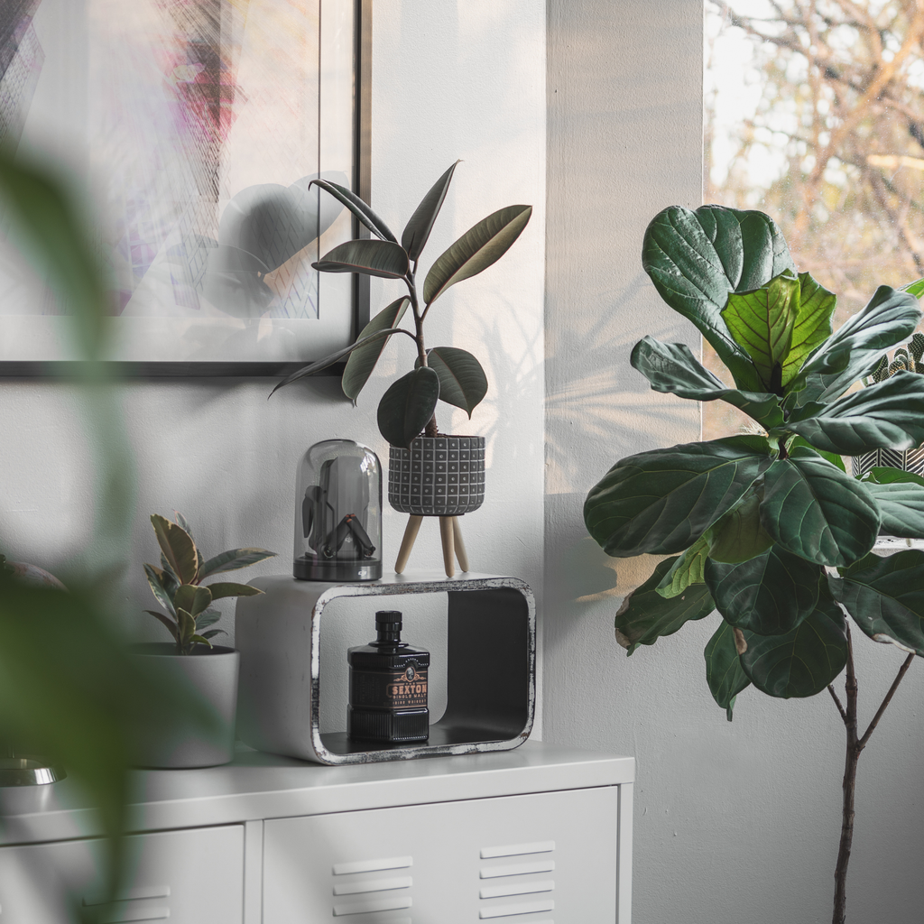 流行を追うのをやめたら、自分らしさが見えてきた。