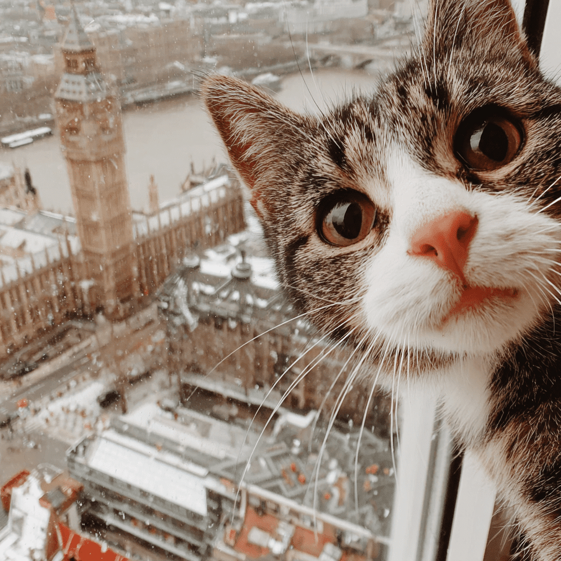 「役に立たない私」に、マルをつける。