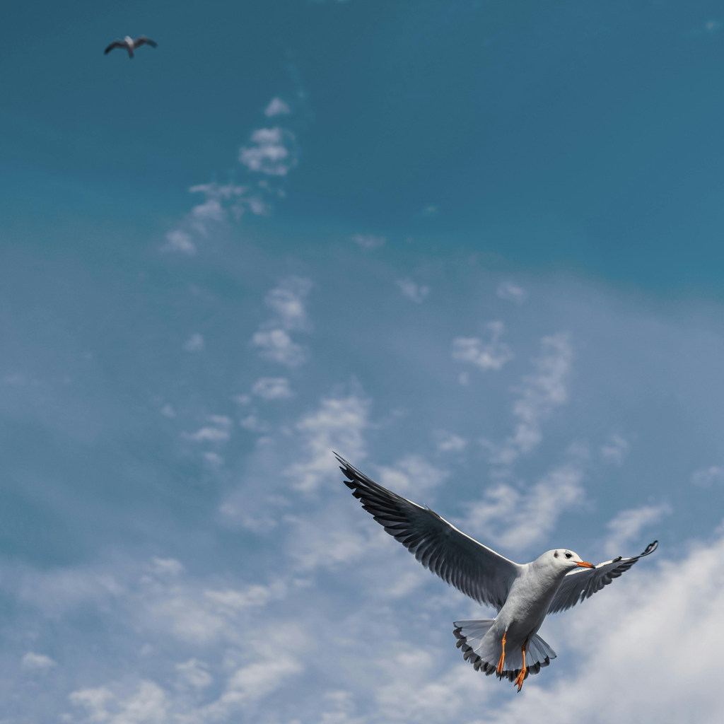 「お金を使うこと」への罪悪感を手放す。浪費と投資の境界線はどこにある？