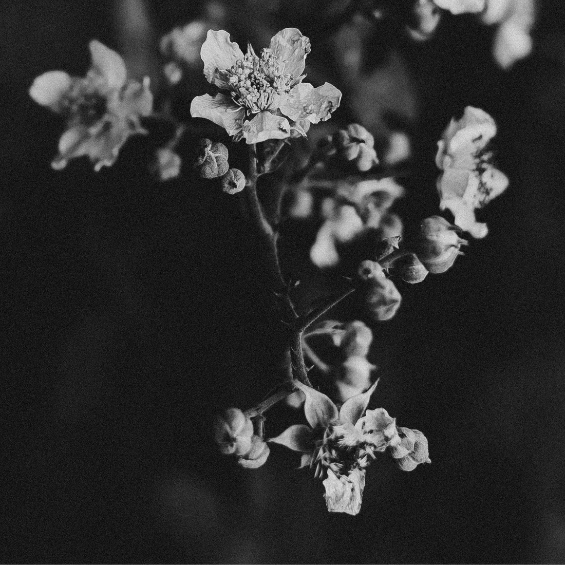 「自信がない」ままでいい。私が「私」のままで、最強になれる理由。