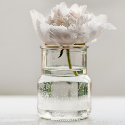 たった一輪で、世界は変わる。退屈な部屋に「魔法」をかける、一番カンタンな方法。