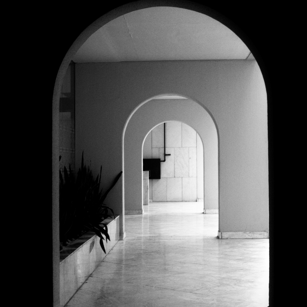 嫉妬は「なりたい私」へのコンパス。ネガティブ感情の歩き方。