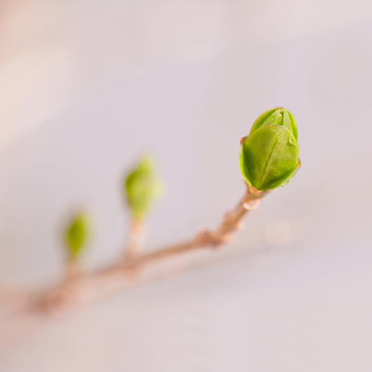 苦しいのは「属性」を変えようとしているから。